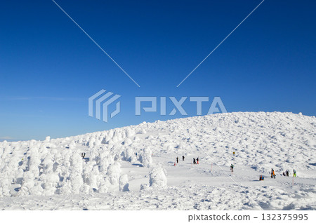 藏王滑雪場 藏王滑雪場 132375995