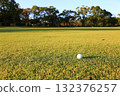 Golf ball rolling on autumn grass 132376257