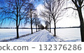 A snow-covered alley with trees on a snowy sunny day 132376286