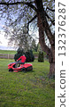 A man mows the lawn with a lawn mower in a blooming spring garden 132376287
