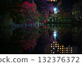 Nakajima Park Pond Light-up 132376372