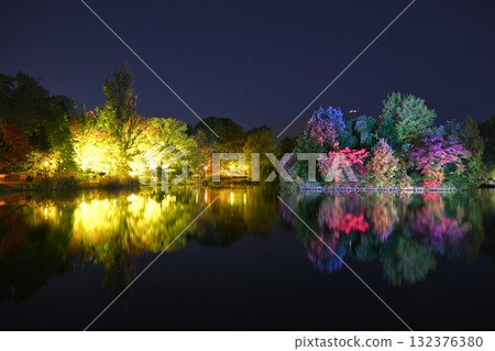 中島公園夜景紅葉 132376380