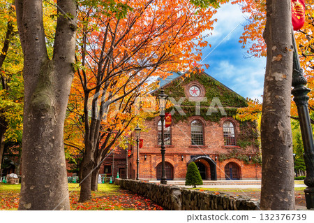 Sapporo Beer Garden in Autumn Sapporo Beer Garden in Autumn 132376739