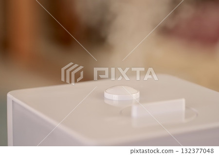 客廳裡的混合加濕器 132377048