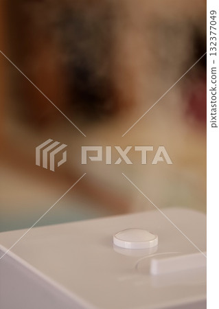 A hybrid humidifier in the living room 132377049