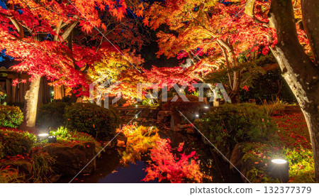 Illuminated Japanese Garden Pond in Autumn Illuminated Japanese Garden Pond in Autumn 132377379