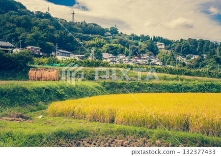 [Autumn] Countryside Scenery [Nagano Prefecture] 132377433