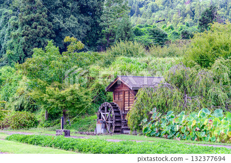 The quiet atmosphere of the Safflower Museum in Kahoku, Yamagata The quiet atmosphere of the Safflower Museum in Kahoku, Yamagata 132377694