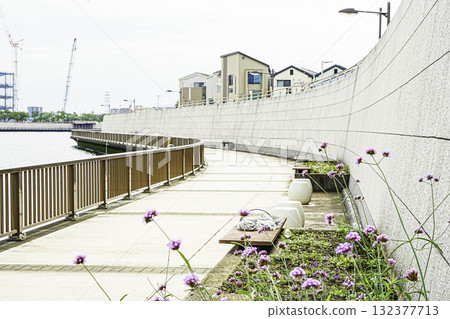 Small flowers on Nakagawa Terrace Small flowers on Nakagawa Terrace 132377713