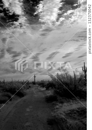 Sonora Desert Arizona in Infrared 132378042