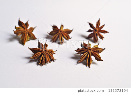 敷種種子落地後乾燥5天(秋季10月) 敷種種子落地後乾燥5天(秋季10月) 132378194