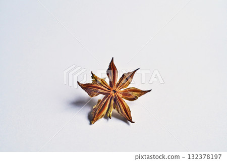 敷種種子落地後乾燥5天（秋季10月） 132378197