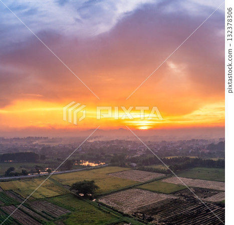 Golden Rice Fields at Sunset Harvest Season 132378306