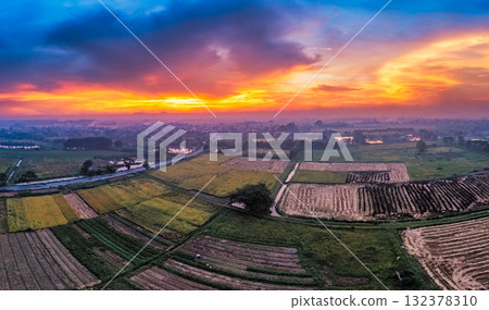 Golden Rice Fields at Sunset Harvest Season 132378310