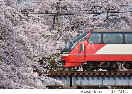 Inuyama Line, Gosegawa River with cherry blossoms in full bloom, 1200 series Panorama Super Inuyama Line, Gosegawa River with cherry blossoms in full bloom, 1200 series Panorama Super 132378402