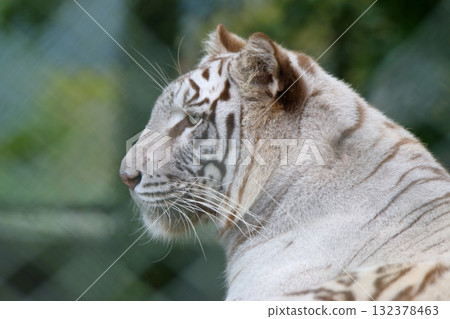 Akiyoshidai Safari Akiyoshidai Safari 132378463