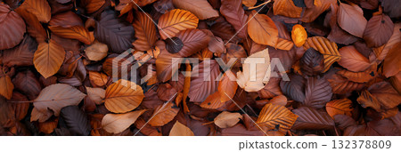 Autumn leaves covering the ground. 132378809