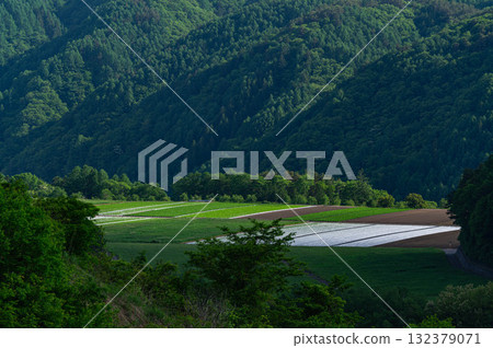 Vegetable fields from Yanagisawa Ridge Park 132379071
