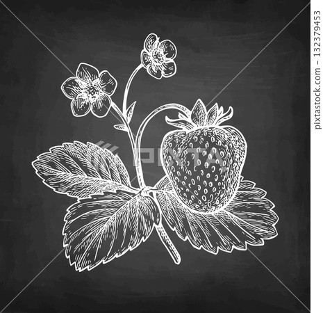 Strawberry chalk sketch Strawberry chalk sketch 132379453