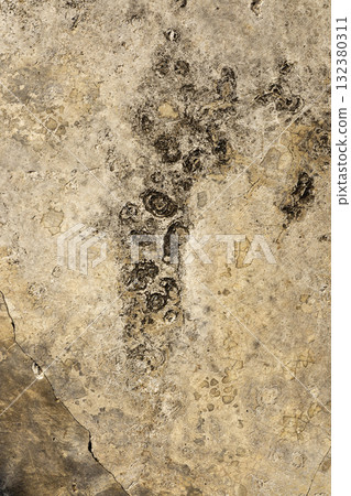 Close Up Texture Of Concrete Floor, A striking close-up of a concrete floor's rugged texture highlights durability, perfect for an industrial product ad campaign. Close Up Texture Of Concrete Floor, A striking close-up of a concrete floor's rugged texture highlights durability, perfect for an industrial product ad campaign. 132380311