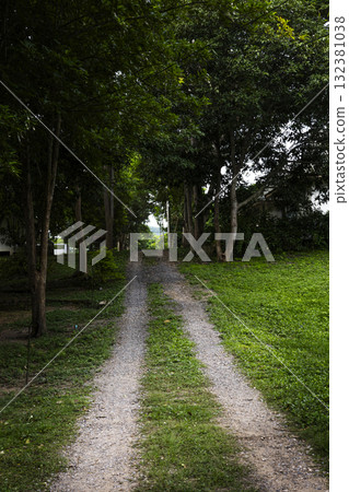 Grass Path For Vehicle Tracks, a countryside photograph capturing twin tracks on grassy soil, symbolizing simplicity, rural lifestyle, and the beauty of untouched nature. 132381038