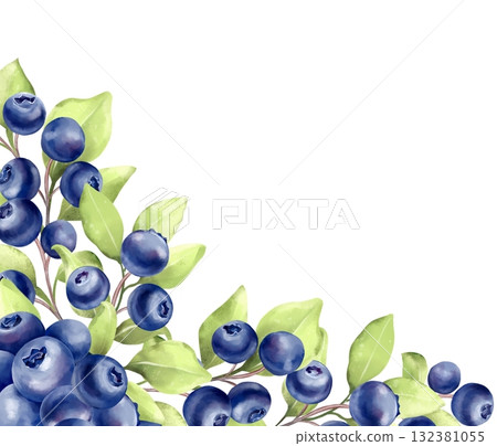Blueberry Corner Element. Berries and Leaves Decor. Hand-drawn illustration 132381055