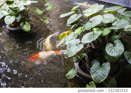 Beautiful Outdoor Decor For Backyard, Charming outdoor decor brightens a backyard with lush greenery and soft glows, offering peace, great for a touching photo or a nature-inspired visual promotion. 132381552