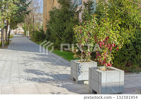 Concrete Planters Craiova Romania Concrete Planters Craiova Romania 132381954