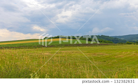 Green Fields East Serbia Green Fields East Serbia 132382631