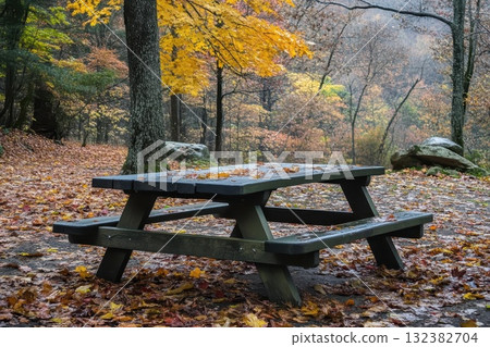 bench in the autumn park 132382704