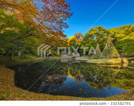 傳統的日本花園池塘,秋天的落葉繽紛,籬笆上掛滿積雪,為冬天做準備(東京都文京區小石川後樂園) 傳統的日本花園池塘,秋天的落葉繽紛,籬笆上掛滿積雪,為冬天做準備(東京都文京區小石川後樂園) 132382791
