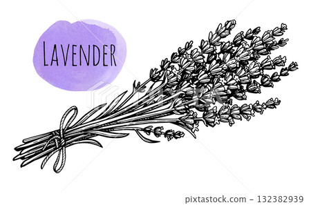 Lavender bundle ink sketch. 132382939
