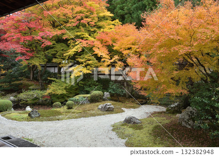 Autumn at the Imperial Palace Garden at Sennyuji Temple (Higashiyama Ward, Kyoto City) 132382948