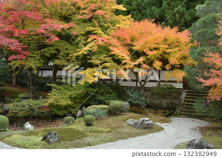 Autumn at the Imperial Palace Garden at Sennyuji Temple (Higashiyama Ward, Kyoto City) 132382949