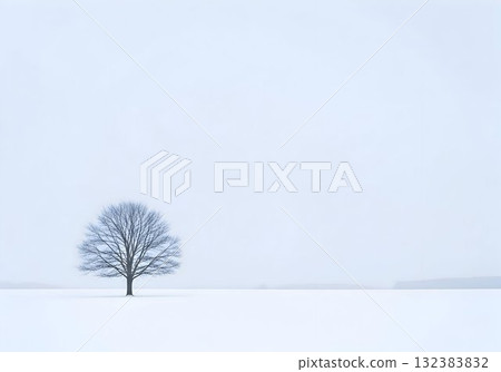 Lone Tree in Snowy Field with Winter Fog 132383832