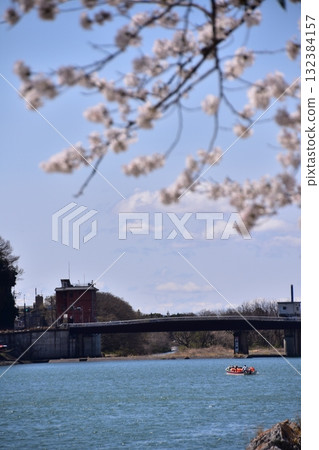日本愛知縣犬山市,春天的犬山城附近,櫻花盛開,藍天白雲,木曾川上的觀光船和萊茵橋 日本愛知縣犬山市,春天的犬山城附近,櫻花盛開,藍天白雲,木曾川上的觀光船和萊茵橋 132384157
