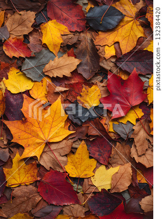 Colorful Autumn Leaves Background 132384420