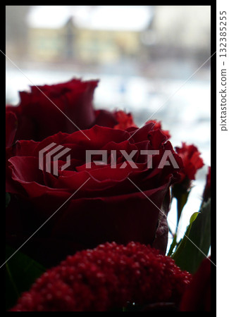 red roses on a snowy white background red roses on a snowy white background 132385255