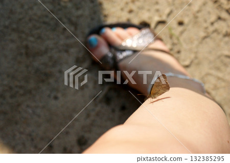 meadow brown butterfly on woman leg siting meadow brown butterfly on woman leg siting 132385295
