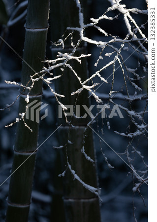 Light piercing the snowy bamboo forest_Vertical 132385331