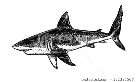 Great white shark sketch hand drawn with pencil textures outline. Black vector monochrome design inspired by marine wildlife. Perfect for logo design textile print tattoo drawing engraving and more. Great white shark sketch hand drawn with pencil textures outline. Black vector monochrome design inspired by marine wildlife. Perfect for logo design textile print tattoo drawing engraving and more. 132385507