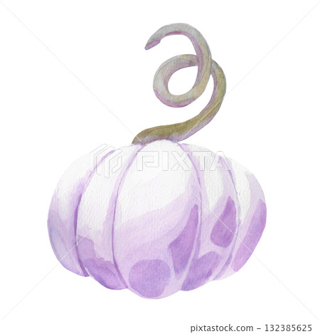 Lavender or lilac pumpkin. A delicate watercolor pumpkin with an unusual coloring. This isolated image is perfect for decoration and design. It can be used for theme party invitations, cards, menus, o 132385625