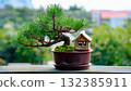 A pine bonsai tree with a small house 132385911