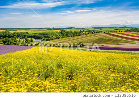 Shikisai Ayako 132386516