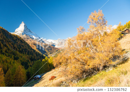 Matterhorn Mountain and Yellow Birch Tree in Autumn. Switzerland Matterhorn Mountain and Yellow Birch Tree in Autumn. Switzerland 132386762