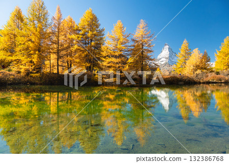 Matterhorn Mountain and Yellow Larches in Autumn. Reflection in Grindjisee. Switzerland Matterhorn Mountain and Yellow Larches in Autumn. Reflection in Grindjisee. Switzerland 132386768