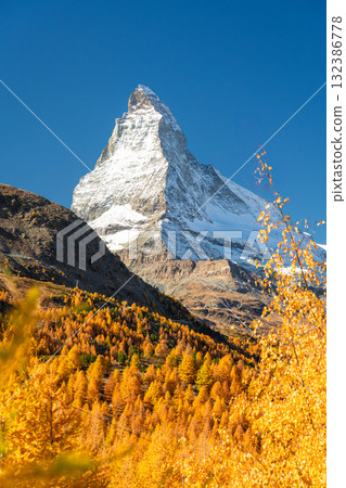 Matterhorn Mountain and Yellow Golden Trees in Autumn. Switzerland Matterhorn Mountain and Yellow Golden Trees in Autumn. Switzerland 132386778