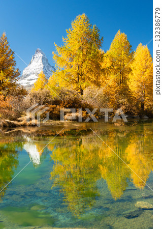 Matterhorn Mountain and Yellow Larches in Autumn. Reflection in Grindjisee. Switzerland Matterhorn Mountain and Yellow Larches in Autumn. Reflection in Grindjisee. Switzerland 132386779