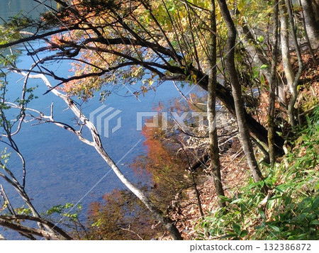 Autumn leaves on the promenade around Lake Yunoko in Oku-Nikko 132386872