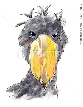 A humorous watercolor illustration of a dignified shoebill A humorous watercolor illustration of a dignified shoebill 132387017